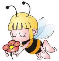 小蜜蜂 小蜜蜂美國代購