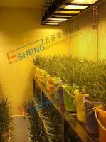 人工气候室