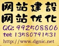 东莞网站建设 东莞网络公司